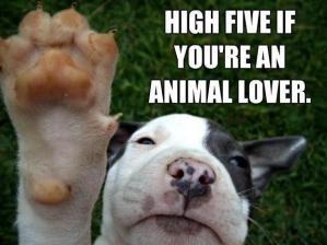 high-five-if-you-are-an-animal-lover